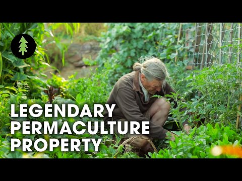 Legendary Australian Permaculture Garden Tour – David Holmgren & Su Dennett's Melliodora