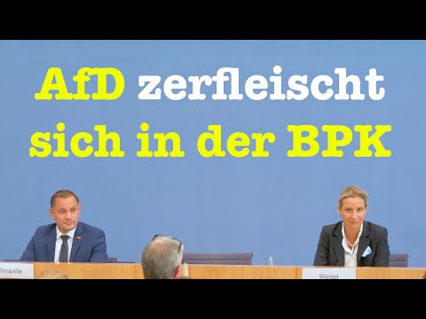 🔥 Die AfD-Parteispitze nach der Bundestagswahl - Komplette BPK | 27. September 2021