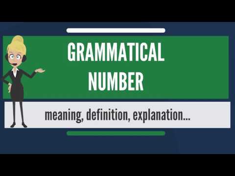 What is GRAMMATICAL NUMBER? What does GRAMMATICAL NUMBER mean? GRAMMATICAL NUMBER meaning