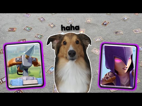 My Puppy Made My Deck in Clash Royale FINALE