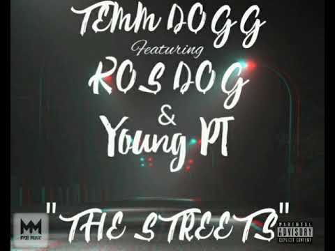 TEMM DOGG X KOS DOG X YOUNG PT - THE STREETS