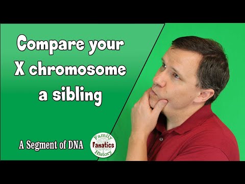 How does your  X chromosome compare to your siblings?