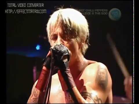 Red Hot Chili Peppers - Californication live at Big Day Out 2000