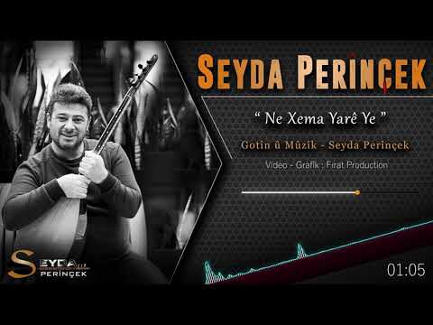 Seyda Perînçek - Dil