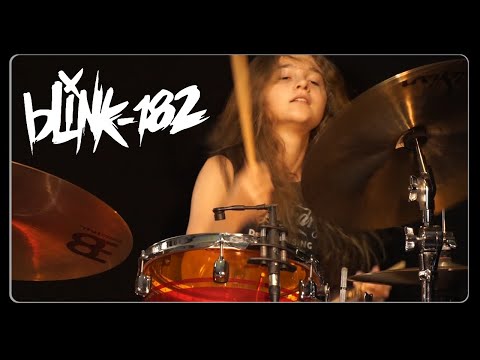 All The Small Things (blink-182); Drum cover by Sina