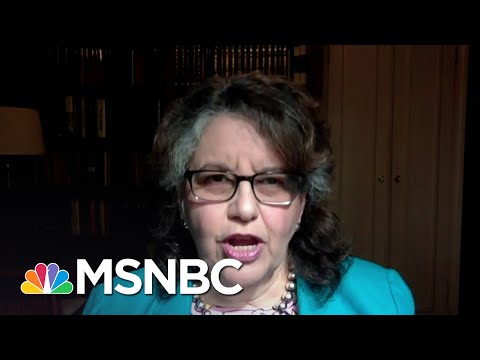 FEC Commissioner: ‘There Is No Evidence Of Any Significant Amount Of Voter Fraud’ | MSNBC