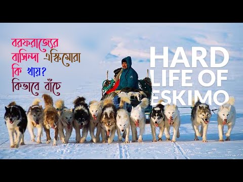 এস্কিমোদের কঠিন জীবন || Extreme life of Eskimos @News valley