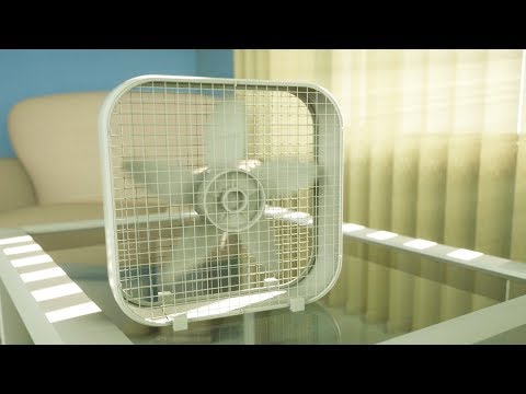 Box Fan Sleep Sounds White Noise | Fall Asleep & Stay Sleeping All Night | 10 Hours