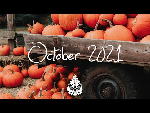 Indie/Rock/Alternative Compilation - October 2021 (1½-Hour Playlist)