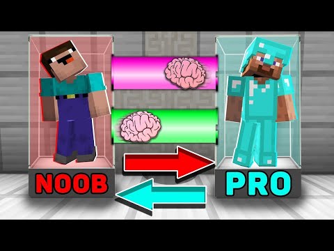 Minecraft NOOB vs PRO  BRAIN EXCHANGE! NOOB BECAME a PRO in Minecraft! Animation!