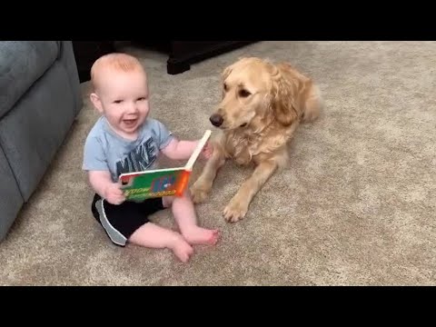 The dog was created specially for children  - Cute Dogs Babysitting Babies