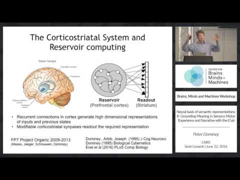 Neural Basis of Semantic Representations: II Grounding Meaning in Sensory-Motor Experience...