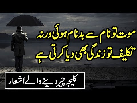 Urdu Poetry On Dhoka | Dhoka Poetry In Urdu | Poetry In Hindi Urdu | Zubair Maqsood Quotes & Poetry