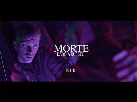 BLAKE - MORTE #DABOIARUSSELII PROD. BOXINBOX