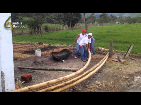 Bending Dry Bamboo Poles