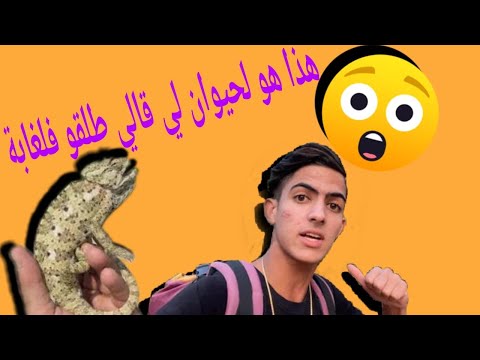 هددني رجل في الليل ☠️ مشيت الغابة فليل 😱 شوفو ...vlog 3