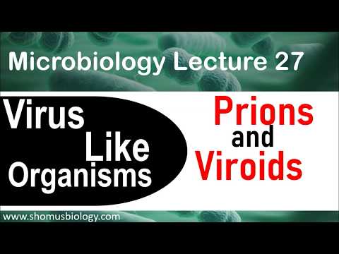 Prions and viroids