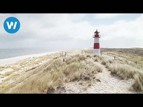 Sylt - Wissenswertes über das Saint-Tropéz des Nordens (Reisedokumentation in HD)