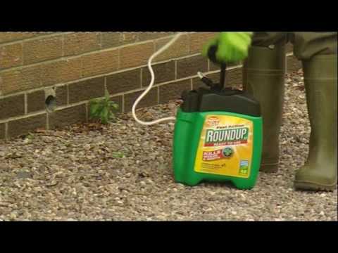 Ready to Use | Video | Roundup Weedkiller