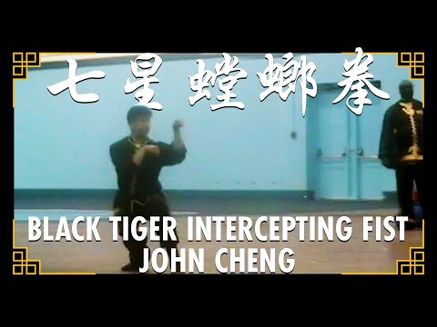 Black Tiger Intercepting Fist (黑虎交叉) | Grandmaster John Cheng