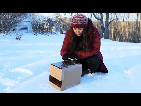 How to Photograph Snowflakes at Home