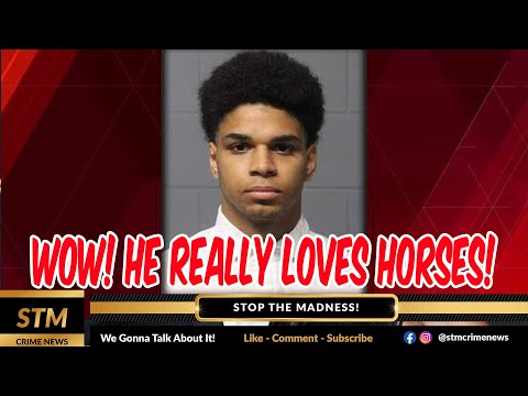 Boston Teen Arrested for Allegedly Sexually Assaulting a Horse (Jackson Kelley) | Stop The Madness