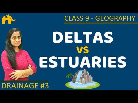 Deltas and Estuaries | Drainage #3 | Class 9 Geography