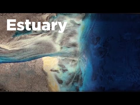 Simulated Estuary & Delta Formation