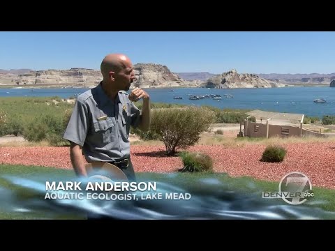 Take a 1,450 mile journey along the Colorado River