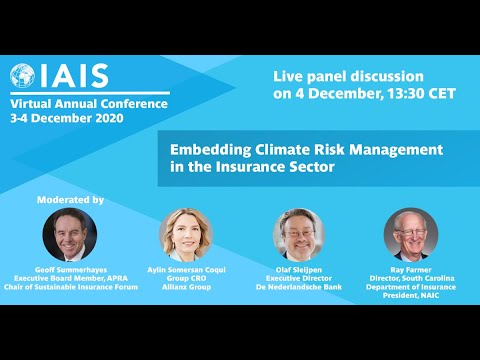 IAIS Virtual Annual Conference 2020 - 3-4 December 2020 - Day2 -  Climate Risk Management