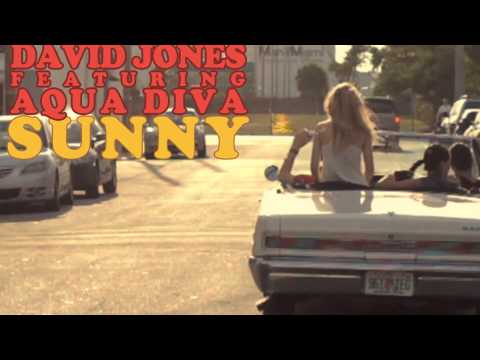 David Jones feat. Aqua Diva - Sunny (Radio Edit) [Official Lyrics Video]