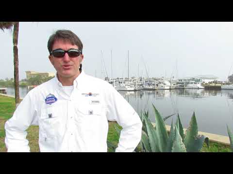 Marineland dockmaster Chris Kelley