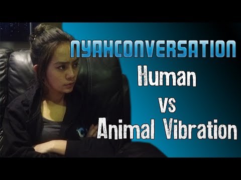 NYAH CONVERSATION : Human vs Animal vibration