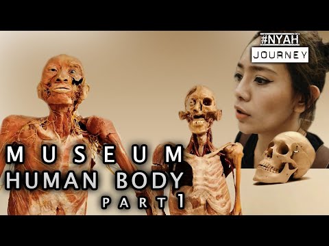 NYAH JOURNEY : museum human body part 1