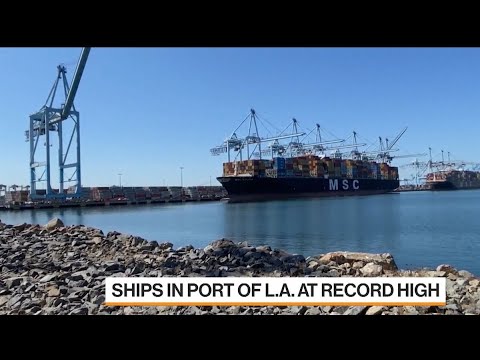 Port of L.A. Director Says More Federal Funding Needed for West Coast