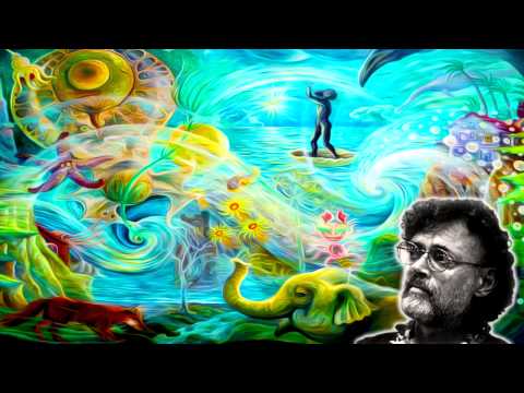 Terence McKenna - Here's What I Think is Happening...