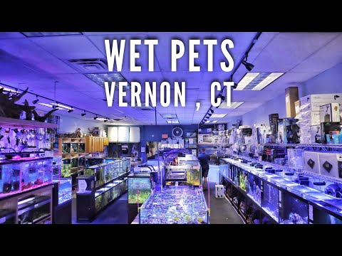 A Store tour of Wet Pets in Vernon Connecticut