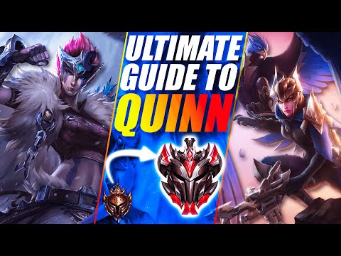 ULTIMATE SEASON 11 GUIDE TO QUINN BY THE RANK #1 QUINN - Everything You Need To Know to Play Quinn