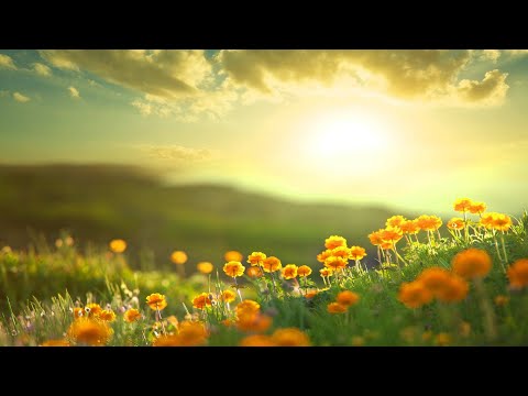 Morning Relaxing Music - Positive Feelings and Energy (Adele)