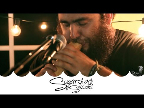 Sol Seed - Family Tree (Live Acoustic) | Sugarshack Sessions