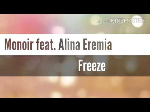 Monoir feat. Alina Eremia-Freeze ( versuri )