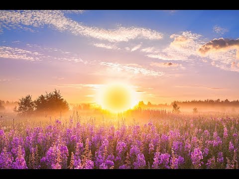 GOOD MORNING MUSIC 💖 528Hz Positive Energy ➤ Soothing Beautiful Deep Morning Boost Meditation Music