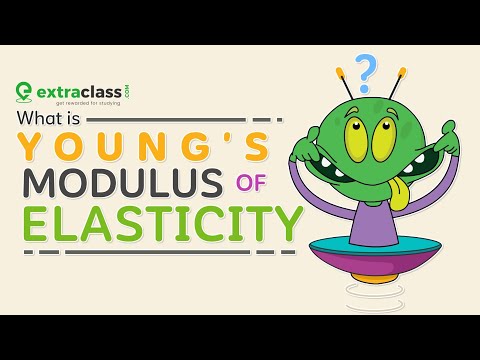 Modulus of Elasticity | Young's Modulus | Physics | Extraclass.com