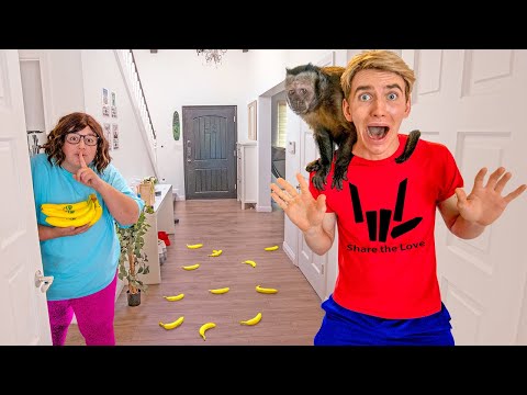 Who Put a MONKEY in MY HOUSE!?