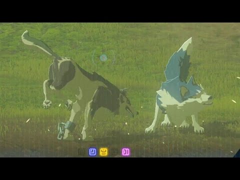 Zelda: Breath of the Wild - Wolf Link plays with his friends gone wrong