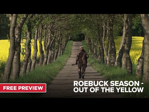 MOTV Original: Roebuck Season Out of the Yellow | FREE Episode