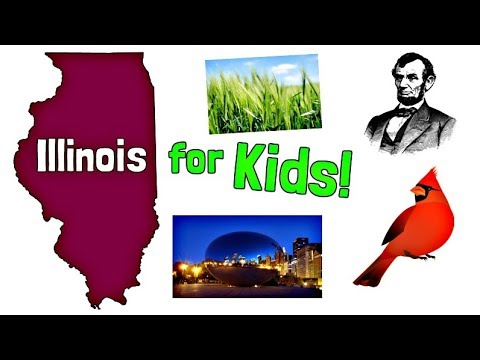 Illinois for Kids | US States Learning Video