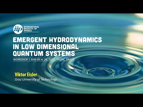 Domain-wall melting and hydrodynamics - Viktor Eisler