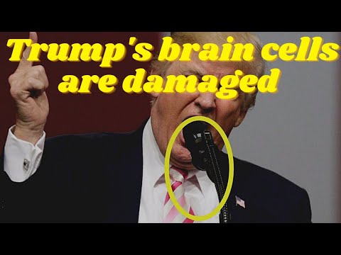 Donald Trump's brain cells are  damaged