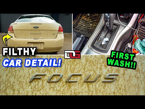 Deep Cleaning a NEGLECTED Ford Focus! | First Wash Muddy Pressure Washing | The Detail Geek